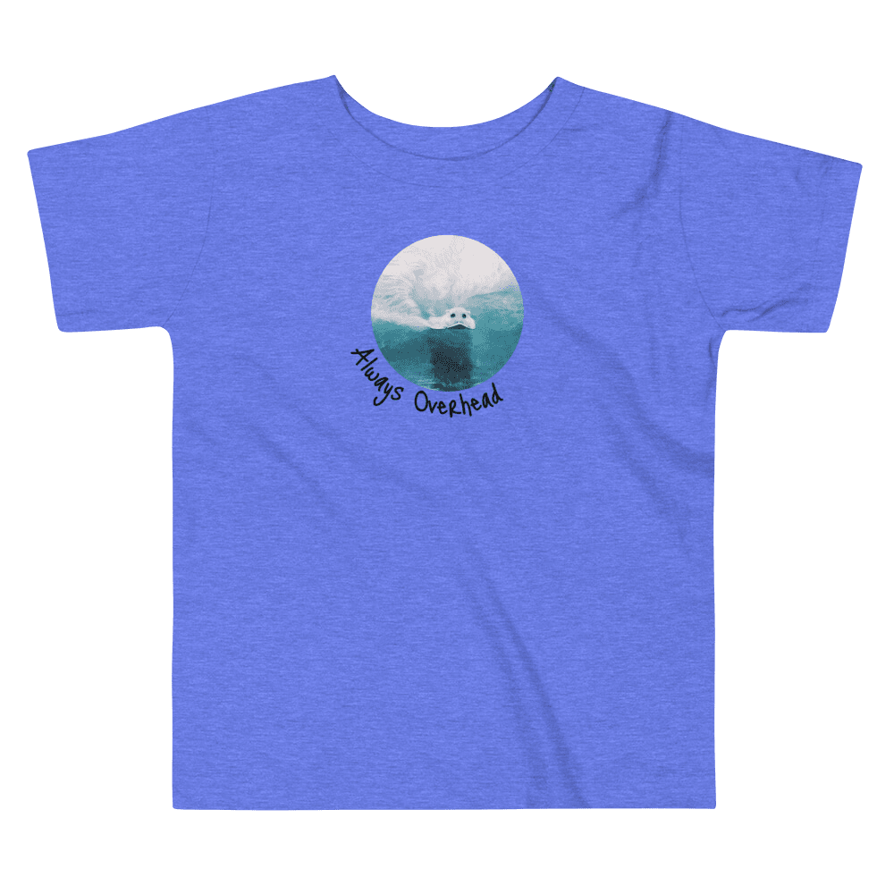 Heather Columbia Blue