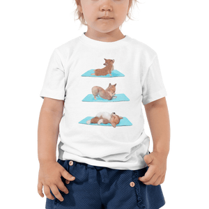 Yoga corgi dog for toddlers