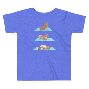 Yoga corgi dog for toddlers